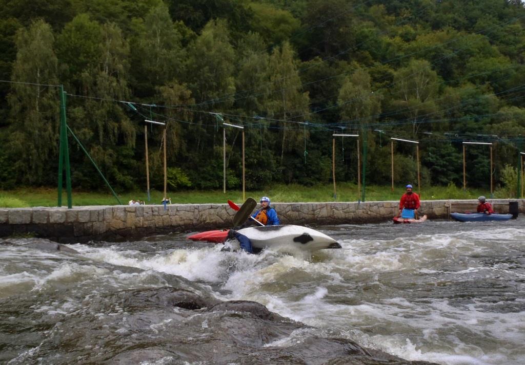 od žraloka (38)