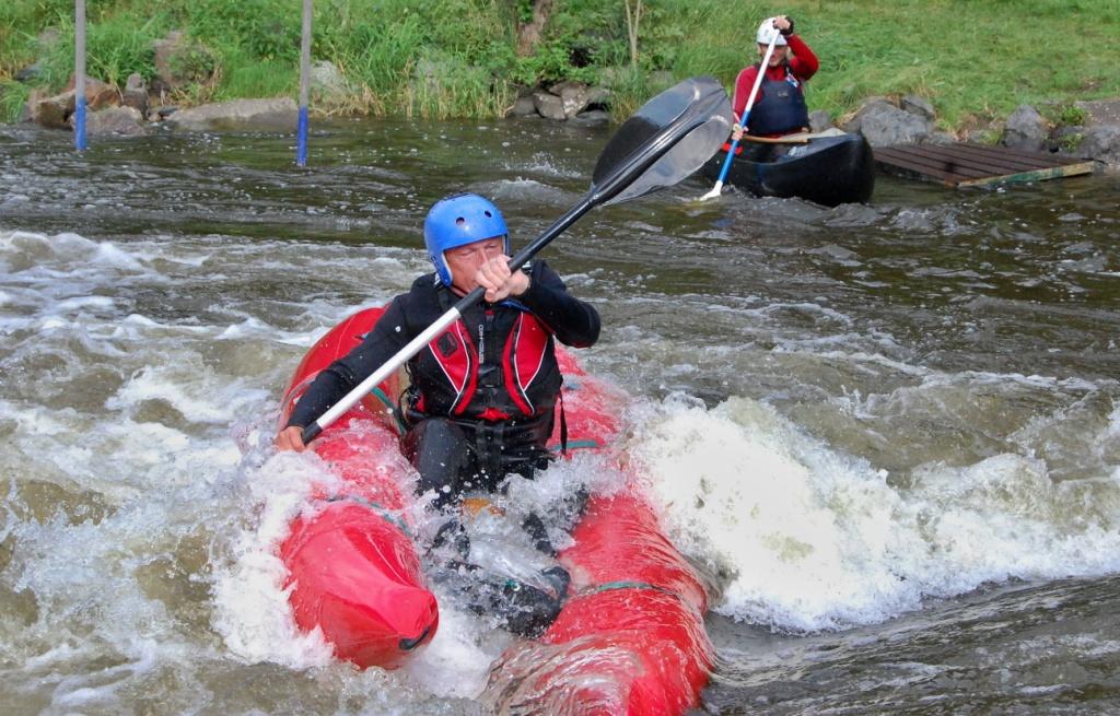 foto žralok (3)